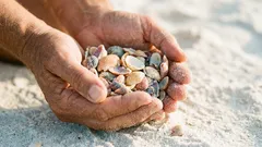 Sommar på stranden: vad du får ta med dig – och vad som är förbjudet
