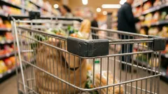 Plasthörn på kundvagnar: det är detta de är avsedda för