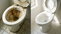 Hemligheten hos hemmafruarna: Så här rengör du toaletten utan extra ansträngning